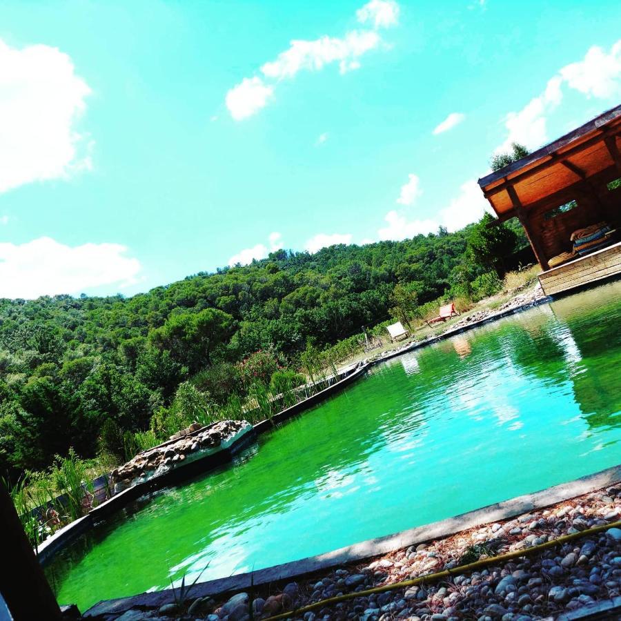 Apartamento L'Etang Des Cigales Uchaux Exterior foto